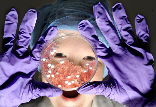 Stem cell research