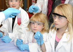 The Big DNA workshop The Big DNA workshop