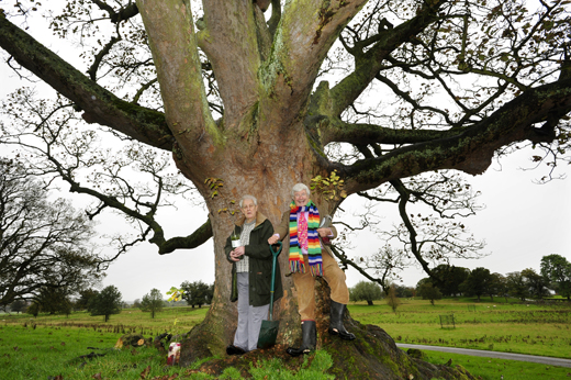 Former Scottish Green Party leader and MSP Robin Harper and the Rt Hon Sir Tam Dalyell with oak seedlings at The House of The Binns estate