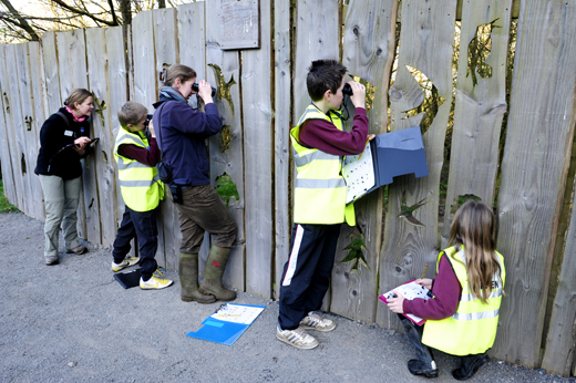 Young birding guides behind a hide-screen at RSPB Scotland's Loch Leven reserve Young birding guides behind a hide-screen at RSPB Scotland's Loch Leven reserve