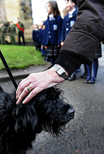 Good dog: Ruby, a hound from the Edinburgh Cats and Dogs Home, stands in for Bobby